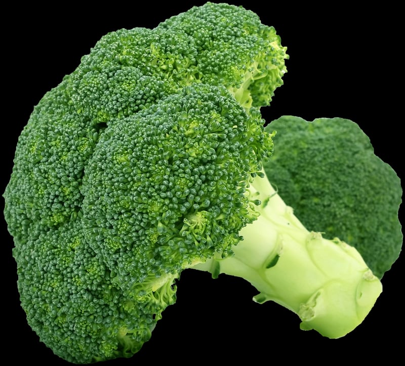 Farm Fresh Produce